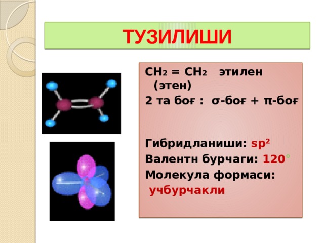 ТУЗИЛИШИ СН 2 = СН 2 этилен (этен) 2 та боғ : σ-боғ + π-боғ Гибридланиши: sp² Валентн бурчаги: 120 ° Молекула формаси:  учбурчакли  