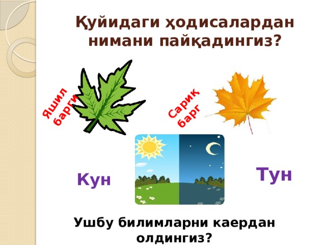 Яшил барги Сариқ барг Қуйидаги ҳодисалардан нимани пайқадингиз? Тун  Кун Ушбу билимларни каердан олдингиз? 