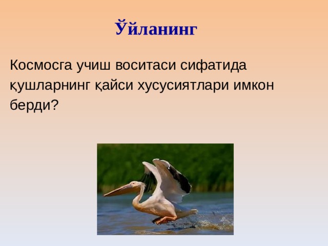Ўйланинг Космосга учиш воситаси сифатида қушларнинг қайси хусусиятлари имкон берди? 