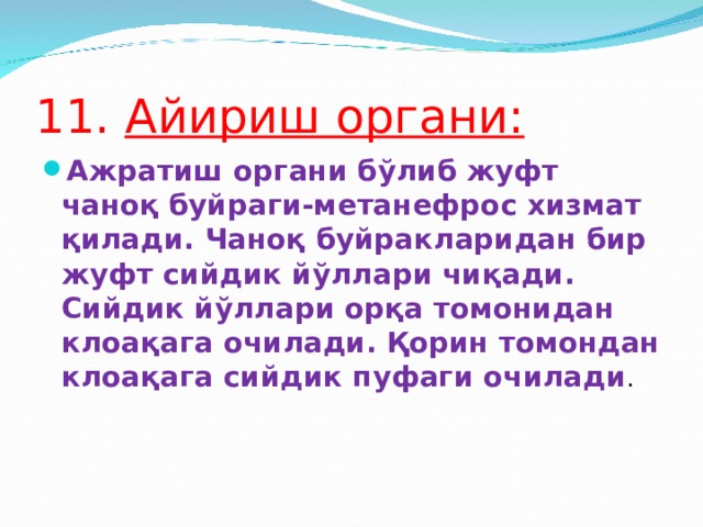 11. Айириш органи: Ажратиш органи бўлиб жуфт чаноқ буйраги-м e тан e фрос хизмат қилади. Чаноқ буйракларидан бир жуфт сийдик йўллари чиқади. Сийдик йўллари орқа томонидан клоақага очилади. Қорин томондан клоақага сийдик пуфаги очилади .    