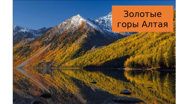 Золотые горы Алтая 