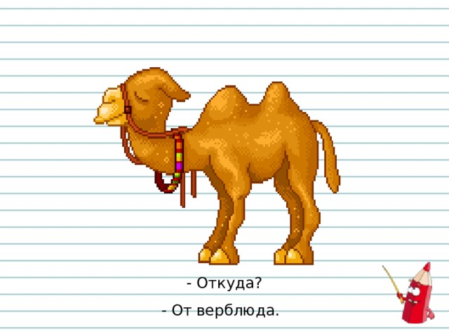 - Откуда?  - От верблюда.  