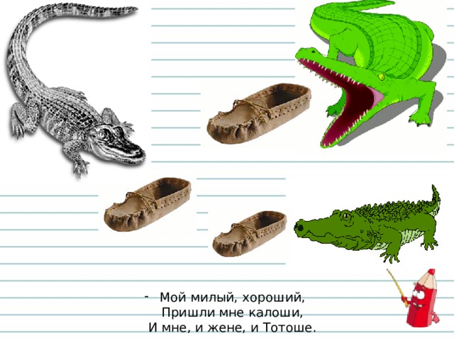  Мой милый, хороший,  Пришли мне калоши,  И мне, и жене, и Тотоше. 