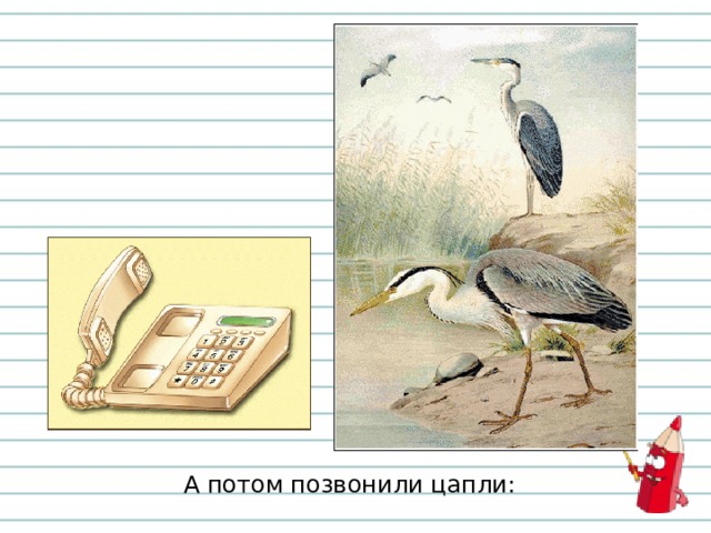 А потом позвонили цапли: 