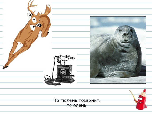 То тюлень позвонит,  то олень. 