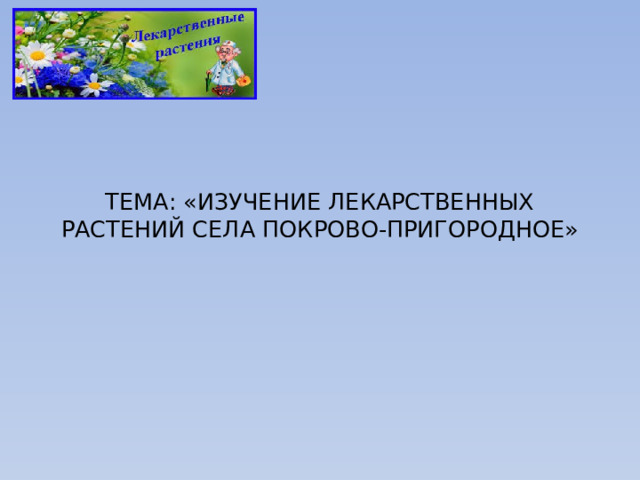   ТЕМА: «ИЗУЧЕНИЕ ЛЕКАРСТВЕННЫХ РАСТЕНИЙ СЕЛА ПОКРОВО-ПРИГОРОДНОЕ» 