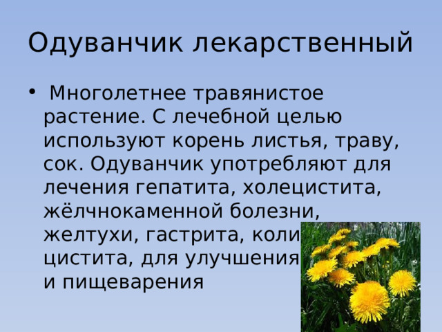 Одуванчик лекарственный  Многолетнее травянистое растение. С лечебной целью используют корень листья, траву, сок. Одуванчик употребляют для лечения гепатита, холецистита, жёлчнокаменной болезни, желтухи, гастрита, колита, цистита, для улучшения аппетита и пищеварения 