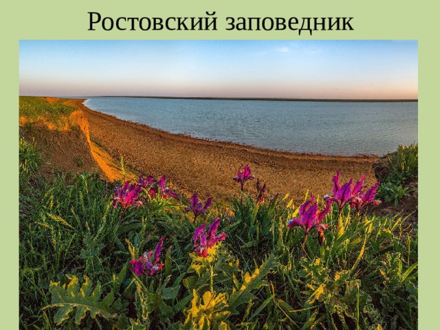 Ростовский заповедник 