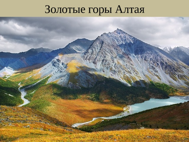 Золотые горы Алтая 