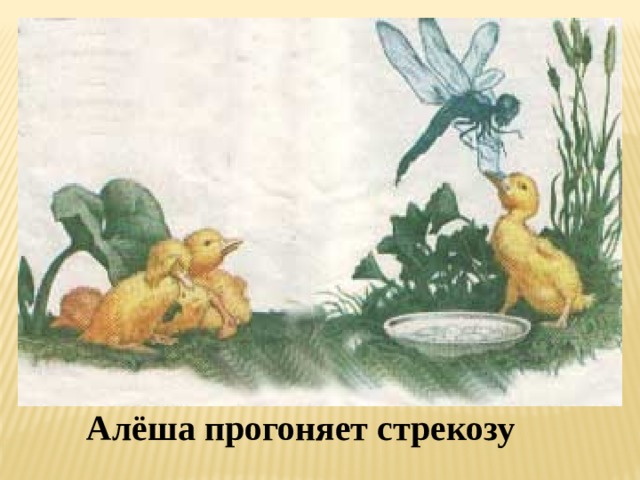 Алёша прогоняет стрекозу 