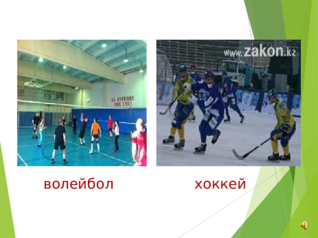  волейбол хоккей 