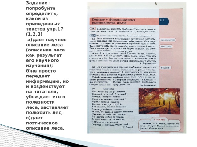 Задание : попробуйте определить, какой из приведенных текстов упр.17 (1,2,3)  а)дает научное описание леса (описание леса как результат его научного изучения);  б)не просто передает информацию, но и воздействует на читателя, убеждает его в полезности леса, заставляет полюбить лес;  в)дает поэтическое описание леса.   