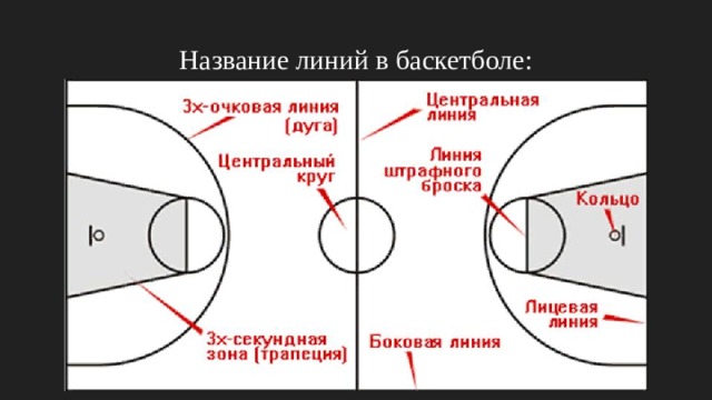 Название линий в баскетболе: 