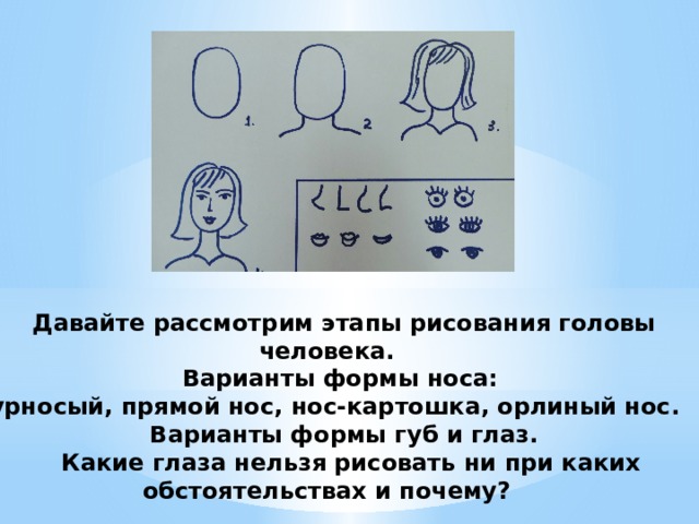  Давайте рассмотрим этапы рисования головы человека.    Варианты формы носа:  курносый, прямой нос, нос-картошка, орлиный нос.   Варианты формы губ и глаз.  Какие глаза нельзя рисовать ни при каких обстоятельствах и почему?   