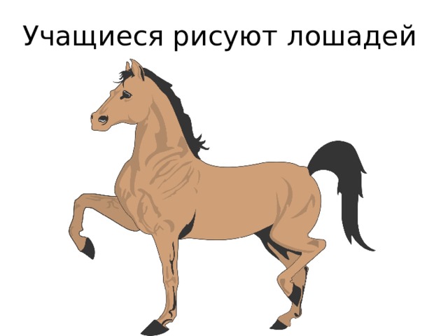 Учащиеся рисуют лошадей 