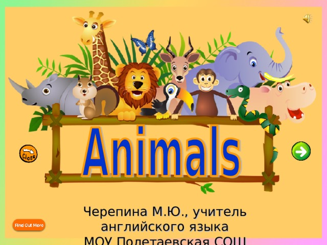Черепина М.Ю., учитель английского языка МОУ Полетаевская СОШ