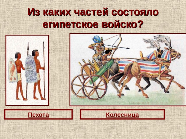 Из каких частей состояло египетское войско? Пехота Колесница 