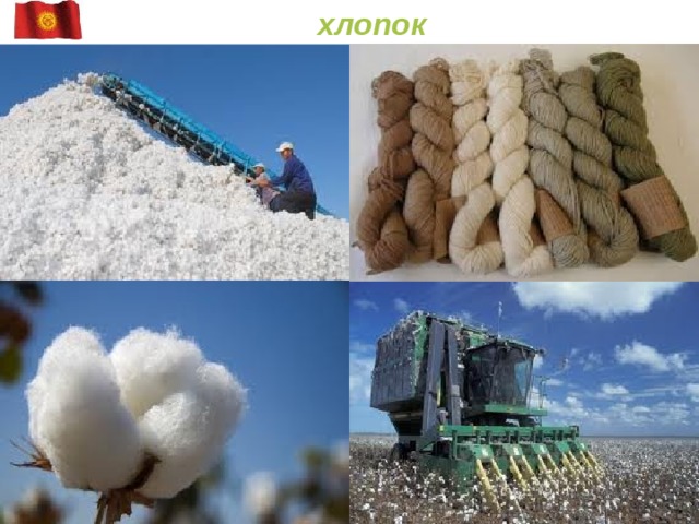  хлопок 