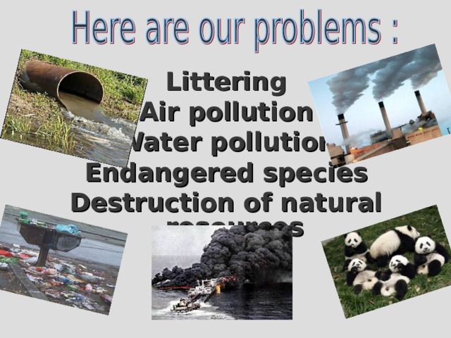 Littering Air pollution Water pollution Endangered species Destruction of natural resources 