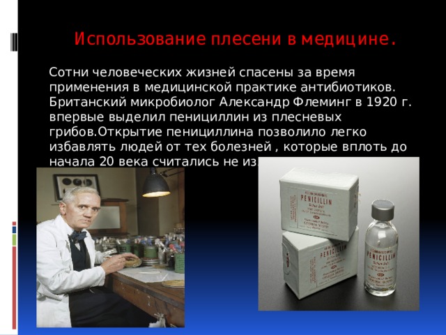 Использование плесени в медицине. Сотни человеческих жизней спасены за время применения в медицинской практике антибиотиков. Британский микробиолог Александр Флеминг в 1920 г. впервые выделил пенициллин из плесневых грибов.Открытие пенициллина позволило легко избавлять людей от тех болезней , которые вплоть до начала 20 века считались не излечимыми. 