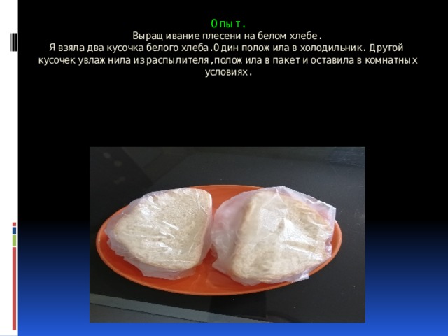 Опыт.  Выращивание плесени на белом хлебе.  Я взяла два кусочка белого хлеба. Один положила в холодильник. Другой кусочек увлажнила из распылителя, положила в пакет и оставила в комнатных условиях.     