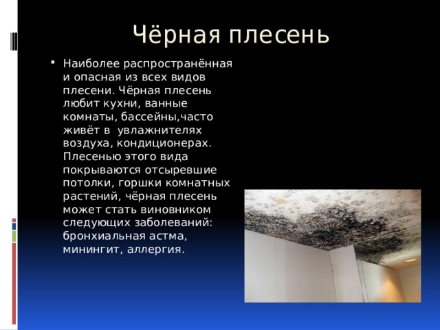 Чёрная плесень Наиболее распространённая и опасная из всех видов плесени. Чёрная плесень любит кухни, ванные комнаты, бассейны,часто живёт в увлажнителях воздуха, кондиционерах. Плесенью этого вида покрываются отсыревшие потолки, горшки комнатных растений, чёрная плесень может стать виновником следующих заболеваний: бронхиальная астма, минингит, аллергия. 