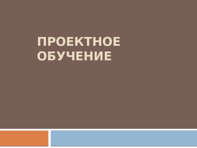 ПРОЕКТНОЕ ОБУЧЕНИЕ 