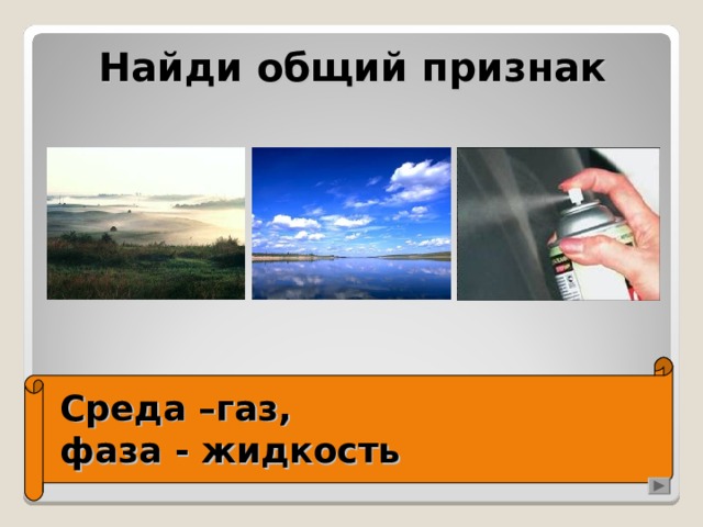 Найди общий признак Среда –газ,  фаза - жидкость 