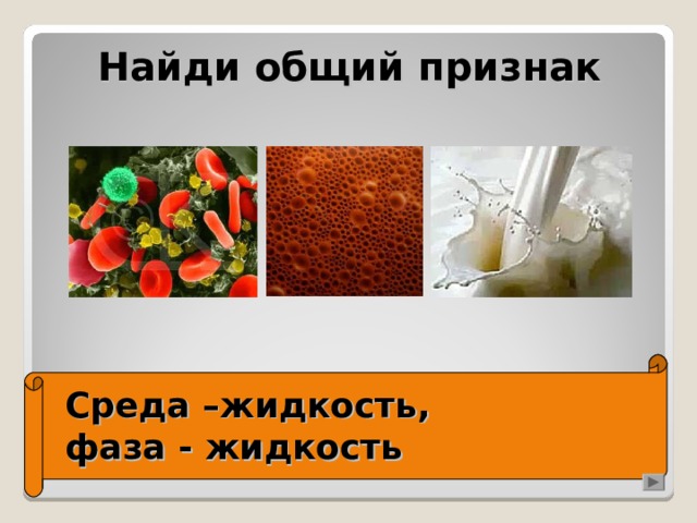 Найди общий признак Среда –жидкость,  фаза - жидкость 