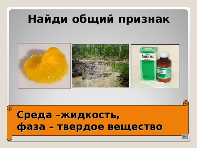 Найди общий признак Среда –жидкость,  фаза – твердое вещество 