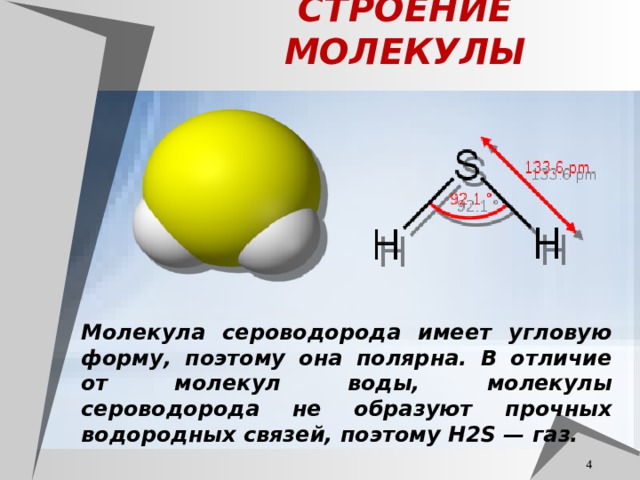 СТРОЕНИЕ МОЛЕКУЛЫ Молекула сероводорода имеет угловую форму, поэтому она полярна. В отличие от молекул воды, молекулы сероводорода не образуют прочных водородных связей, поэтому H2S — газ.  