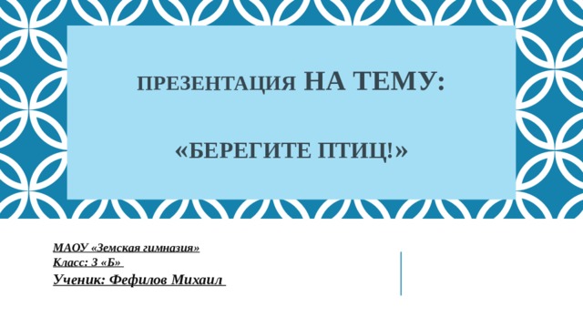 ПРЕЗЕНТАЦИЯ на тему:   « БЕРЕГИТЕ ПТИЦ! »   МАОУ «Земская гимназия»  Класс: 3 «Б» Ученик: Фефилов Михаил 