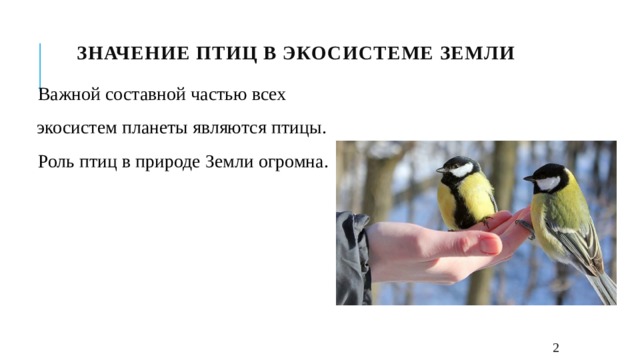 ЗНАЧЕНИЕ ПТИЦ В ЭКОСИСТЕМЕ ЗЕМЛИ Важной составной частью всех экосистем планеты являются птицы. Роль птиц в природе Земли огромна.  2 