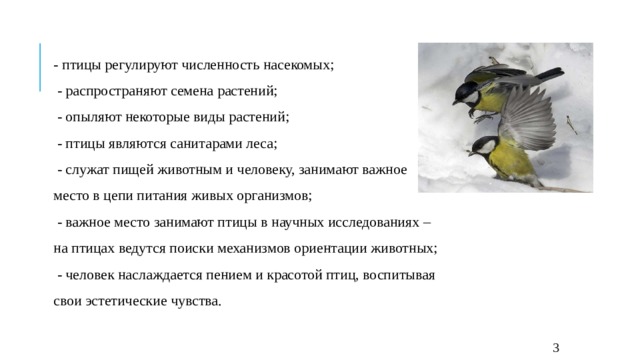 - птицы регулируют численность насекомых;  - распространяют семена растений;  - опыляют некоторые виды растений;  - птицы являются санитарами леса;  - служат пищей животным и человеку, занимают важное место в цепи питания живых организмов;  - важное место занимают птицы в научных исследованиях – на птицах ведутся поиски механизмов ориентации животных;  - человек наслаждается пением и красотой птиц, воспитывая свои эстетические чувства.  3 
