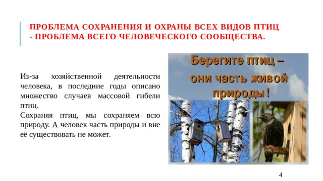Проблема сохранения и охраны всех видов птиц - проблема всего человеческого сообщества. Из-за хозяйственной деятельности человека, в последние годы описано множество случаев массовой гибели птиц. Сохраняя птиц, мы сохраняем всю природу. А человек часть природы и вне её существовать не может.  4 