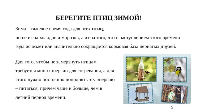 БЕРЕГИТЕ ПТИЦ ЗИМОЙ ! Зима – тяжелое время года для всех  птиц , но не из-за холодов и морозов, а из-за того, что с наступлением этого времени года исчезает или значительно сокращается кормовая база пернатых друзей. Для того, чтобы не замерзнуть птицам требуется много энергии для согревания, а для этого нужно постоянно пополнять эту энергию – питаться, причем чаше и больше, чем в летний период времени. 5 