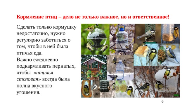 Кормление птиц – дело не только важное, но и ответственное! Сделать только кормушку недостаточно, нужно регулярно заботиться о том, чтобы в ней была птичья еда. Важно ежедневно подкармливать пернатых, чтобы   «птичья столовая»  всегда была полна вкусного угощения. 6 