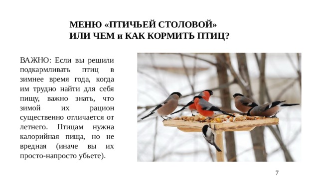 МЕНЮ «ПТИЧЬЕЙ СТОЛОВОЙ» ИЛИ ЧЕМ и КАК КОРМИТЬ ПТИЦ? ВАЖНО: Если вы решили подкармливать птиц в зимнее время года, когда им трудно найти для себя пищу, важно знать, что зимой их рацион существенно отличается от летнего. Птицам нужна калорийная пища, но не вредная (иначе вы их просто-напросто убьете). 7 