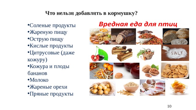 Что нельзя добавлять в кормушку? Соленые продукты Жареную пищу Острую пищу Кислые продукты Цитрусовые (даже кожуру) Кожура и плоды бананов Молоко Жареные орехи Пряные продукты 10 