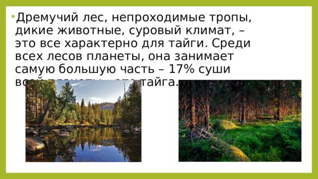 Дремучий лес, непроходимые тропы, дикие животные, суровый климат, – это все характерно для тайги. Среди всех лесов планеты, она занимает самую большую часть – 17% суши всей планеты – это тайга.   