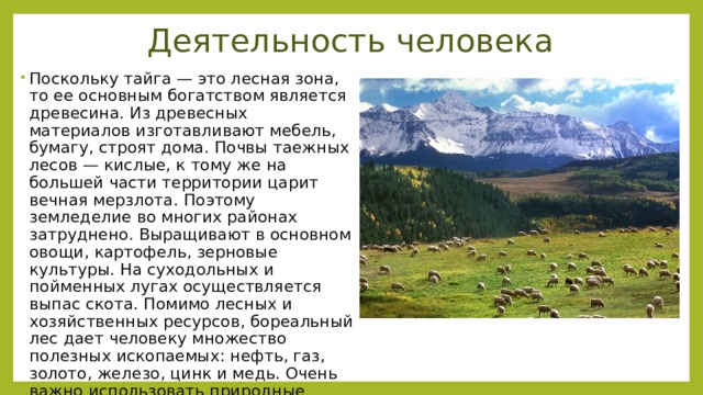 Деятельность человека Поскольку тайга — это лесная зона, то ее основным богатством является древесина. Из древесных материалов изготавливают мебель, бумагу, строят дома. Почвы таежных лесов — кислые, к тому же на большей части территории царит вечная мерзлота. Поэтому земледелие во многих районах затруднено. Выращивают в основном овощи, картофель, зерновые культуры. На суходольных и пойменных лугах осуществляется выпас скота. Помимо лесных и хозяйственных ресурсов, бореальный лес дает человеку множество полезных ископаемых: нефть, газ, золото, железо, цинк и медь. Очень важно использовать природные ресурсы равномерно, чтобы не нанести непоправимый ущерб лесам. 