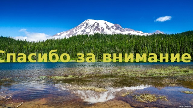 Спасибо за внимание! 