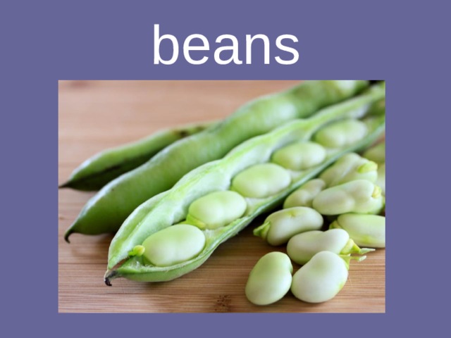 beans 