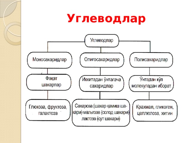 Углеводлар 