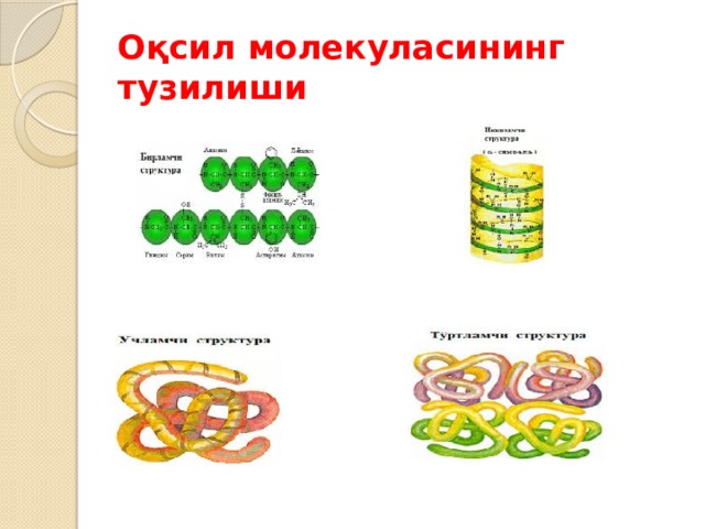 Оқсил молекуласининг тузилиши 