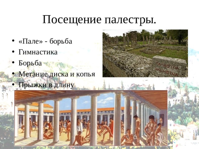Посещение палестры. «Пале» - борьба Гимнастика Борьба Метание диска и копья Прыжки в длину 