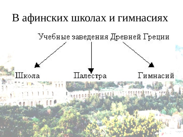 В афинских школах и гимнасиях 