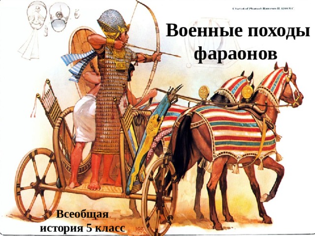 Военные походы фараонов Всеобщая история 5 класс 