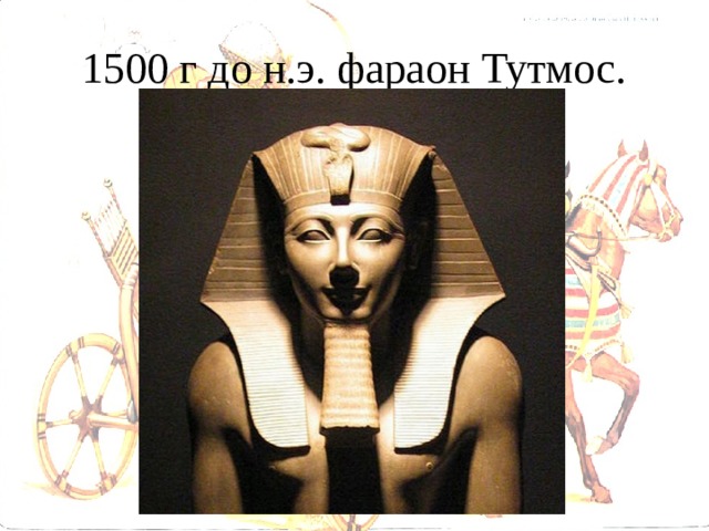 1500 г до н.э. фараон Тутмос. 