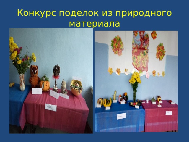 Конкурс поделок из природного материала 